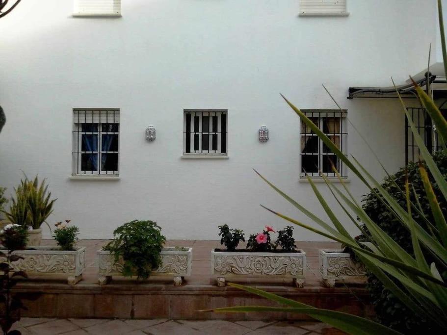Apartamento Echando Anclas Barbate Esterno foto